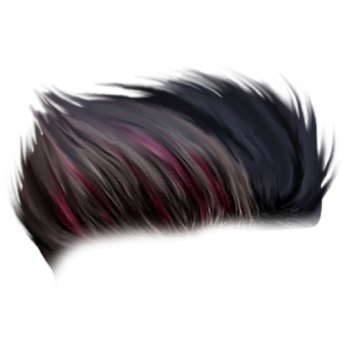 Download New CB Hair PNG Image for Free