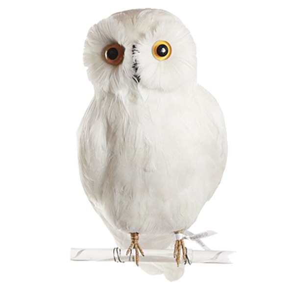 Owl PNG Image - PurePNG | Free transparent CC0 PNG Image ...