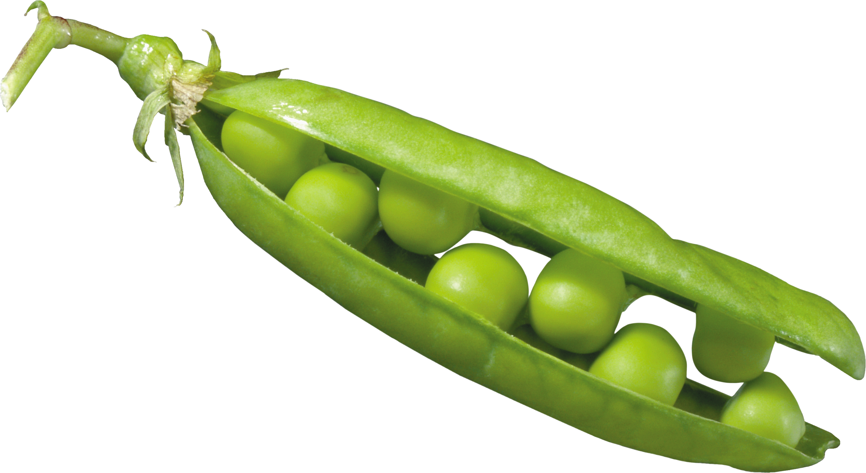 Peas in a Pod PNG Image
