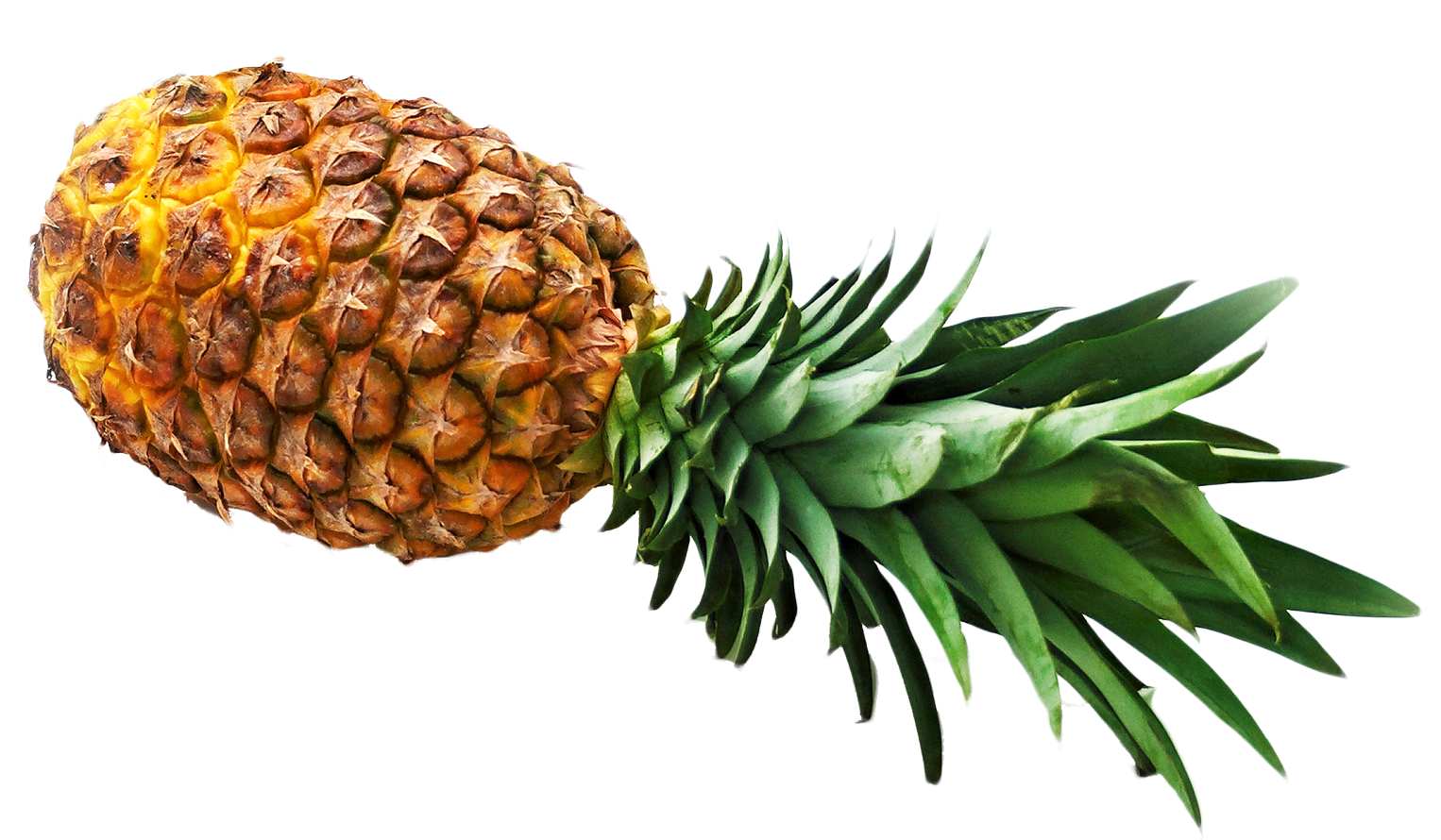 Pineapple PNG Image