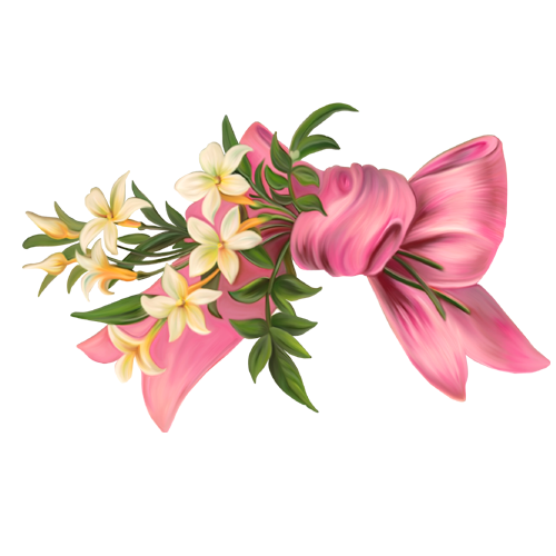 Pink Bow PNG Image