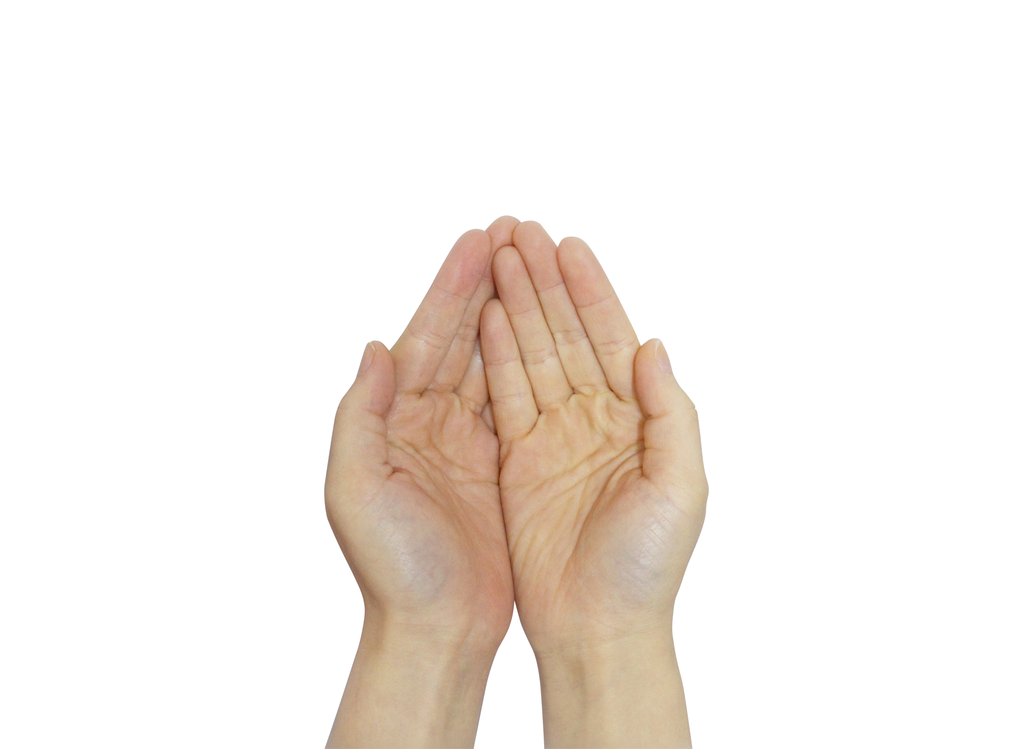 Praying Hands PNG Image