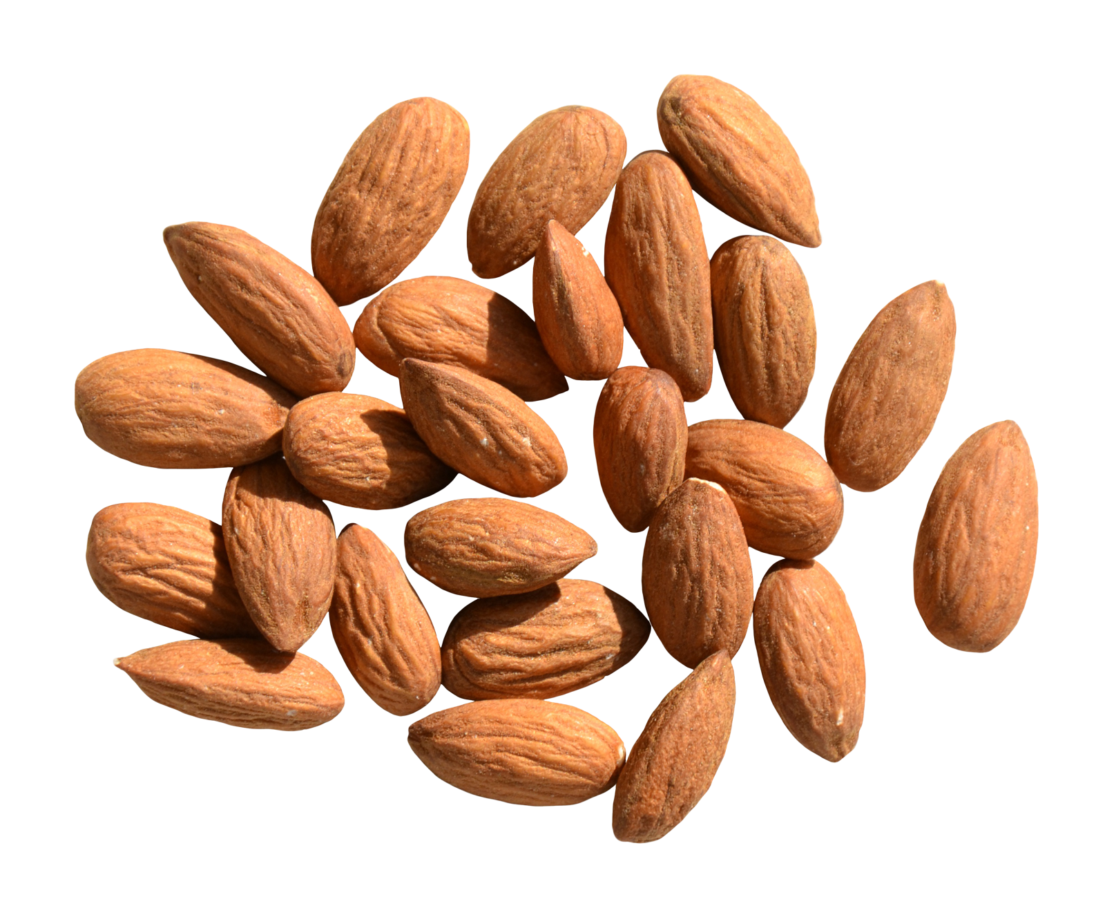 Almond PNG Image - PurePNG | Free transparent CC0 PNG Image Library