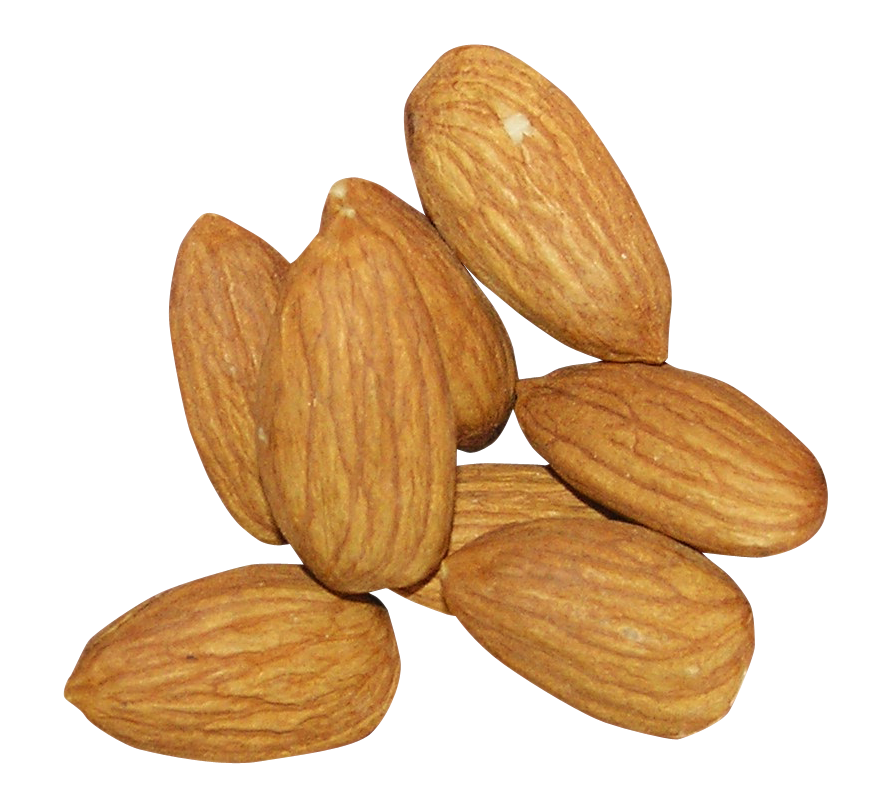 Almond PNG Image
