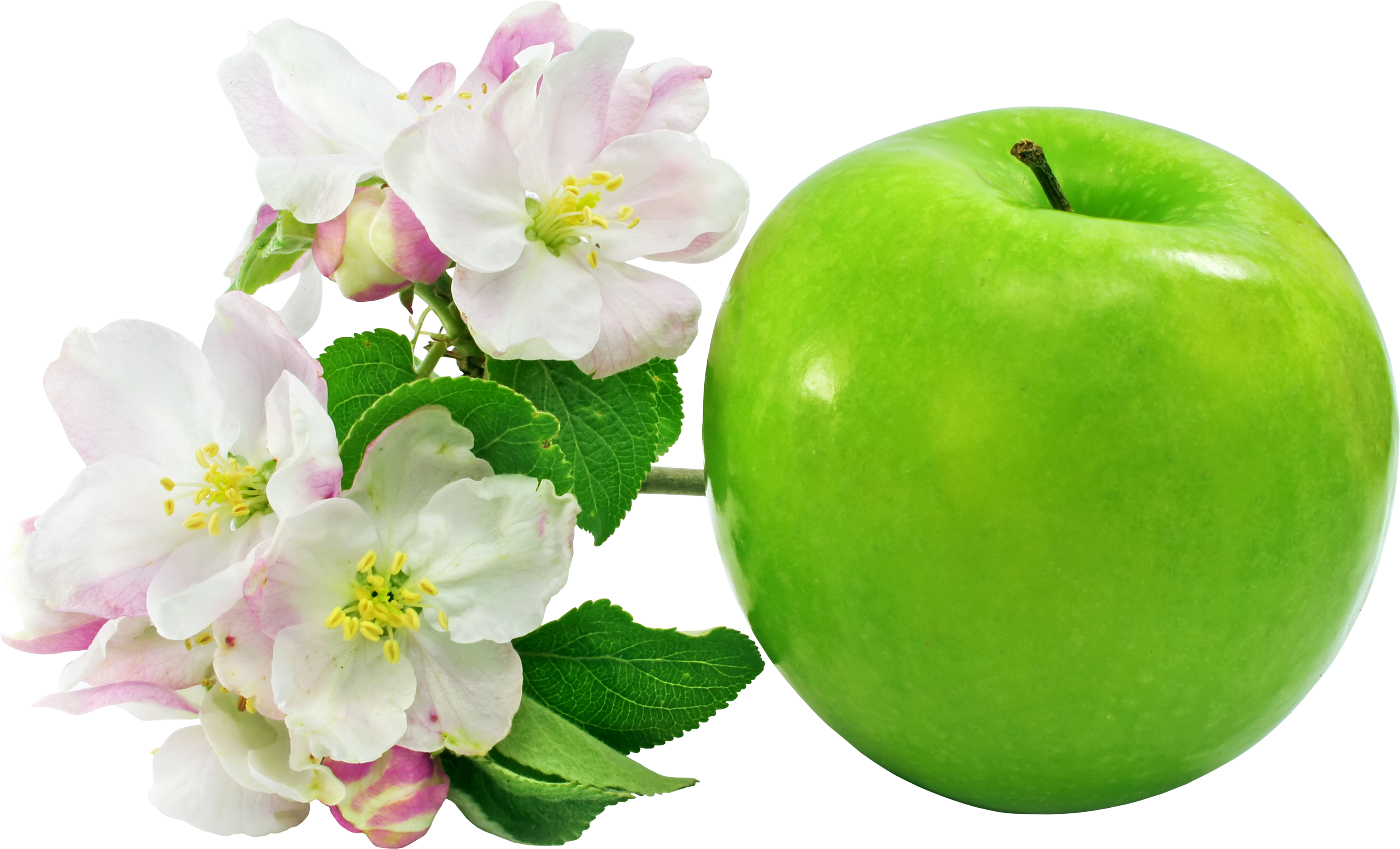 Apple with Flowers