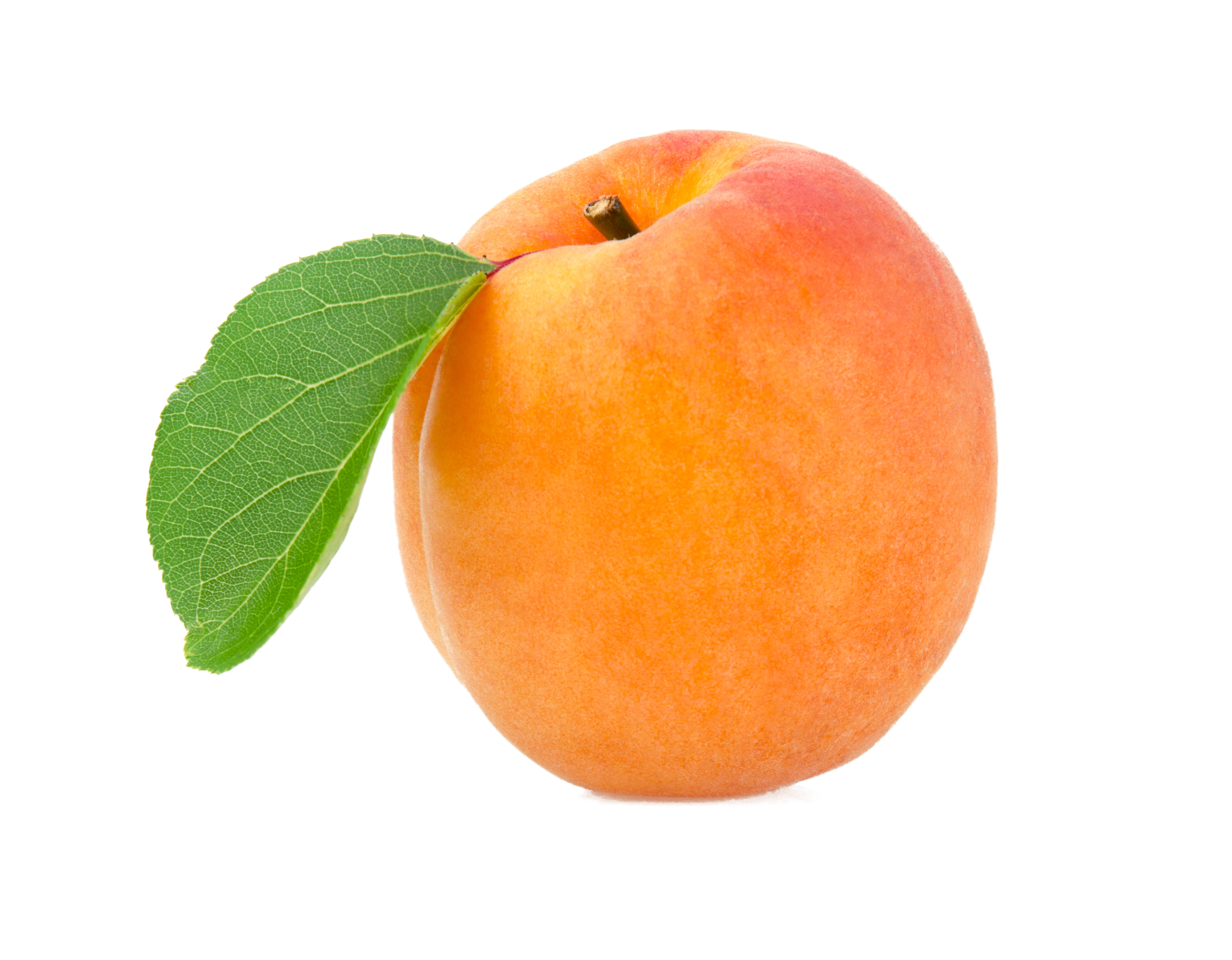 Apricot PNG Image - PurePNG | Free transparent CC0 PNG ...