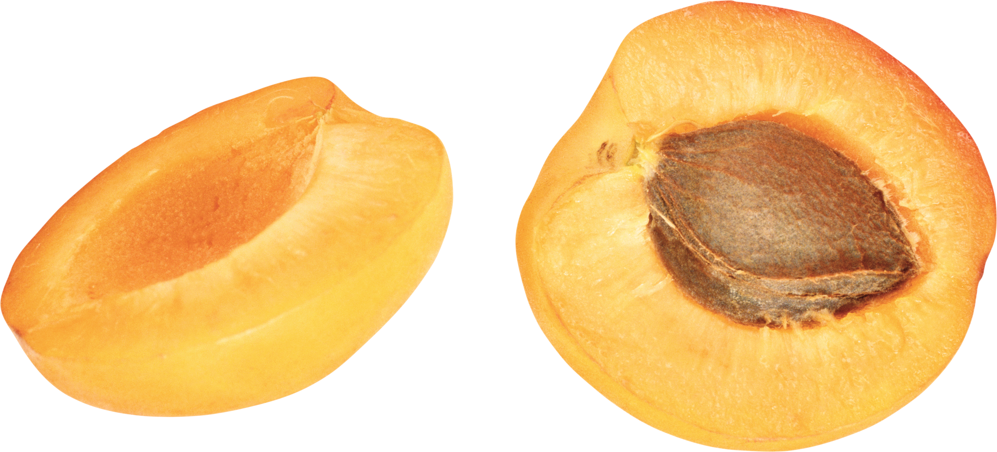 Apricot PNG Image