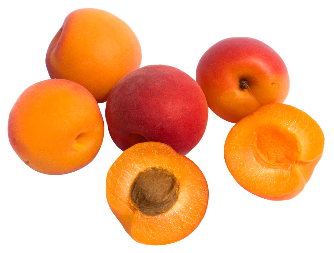 Apricots PNG Image