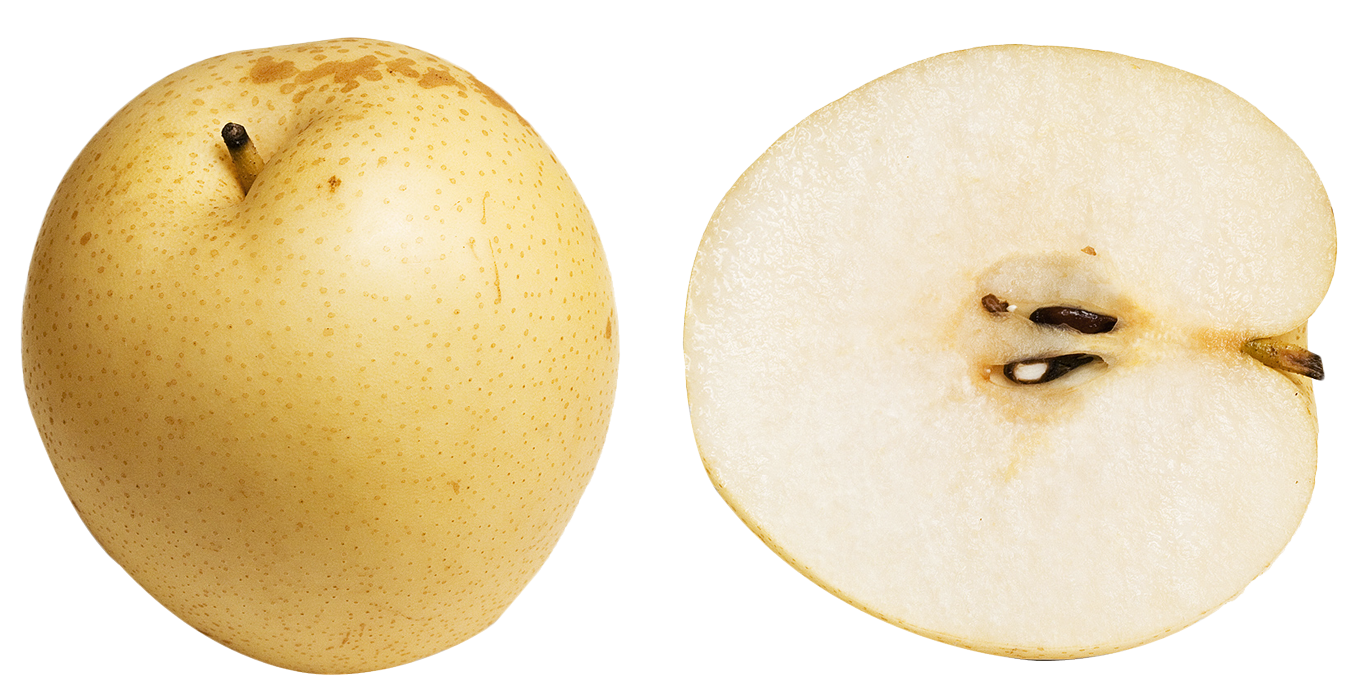 Asian Pear slice PNG Image