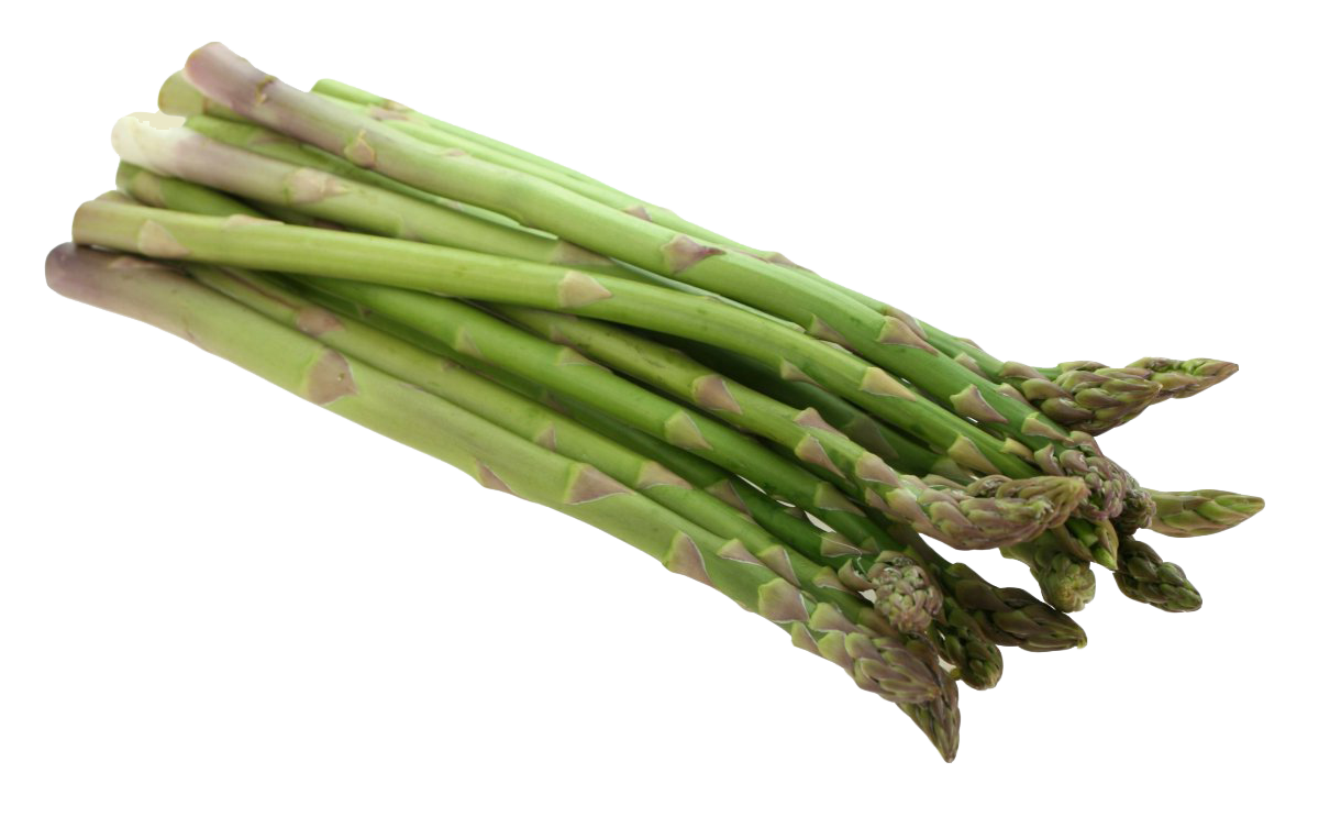 Asparagus PNG Image