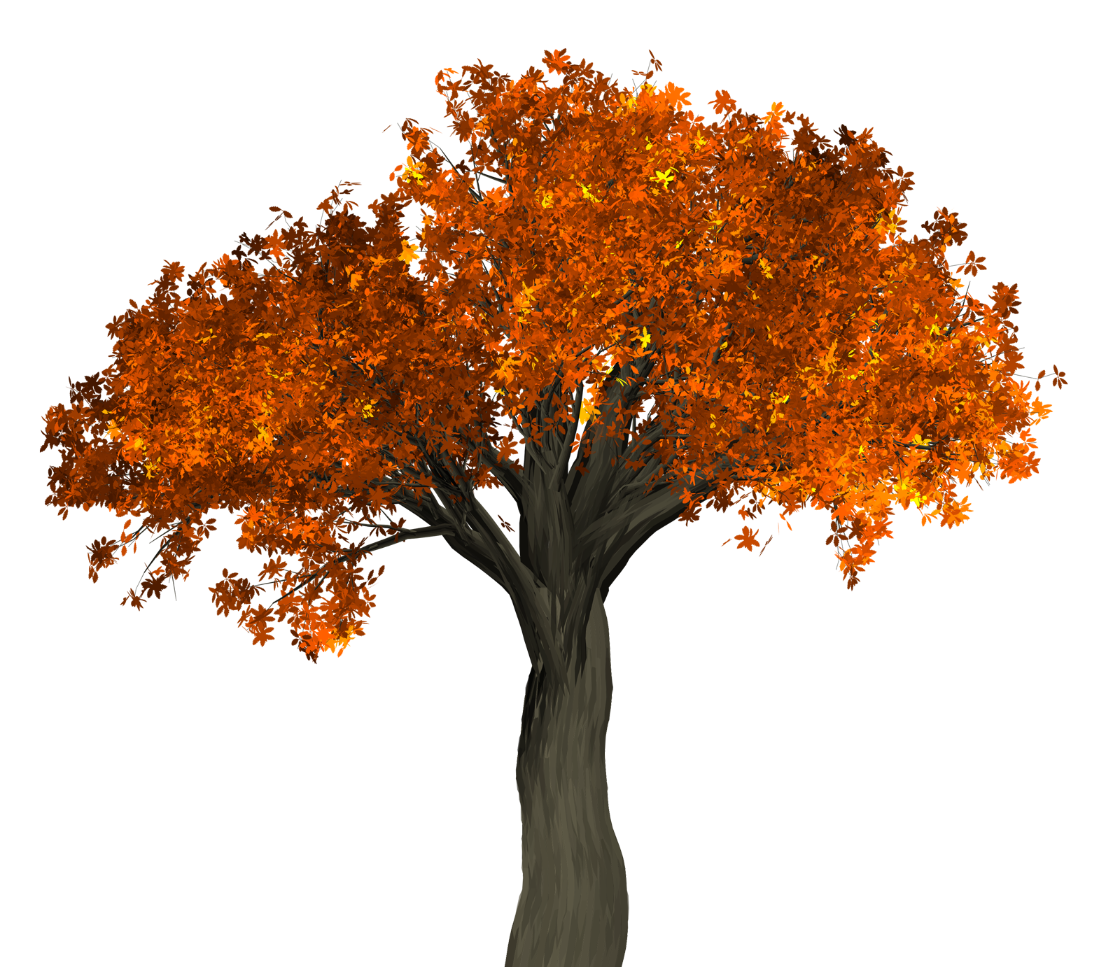Big Autumn Tree PNG Image
