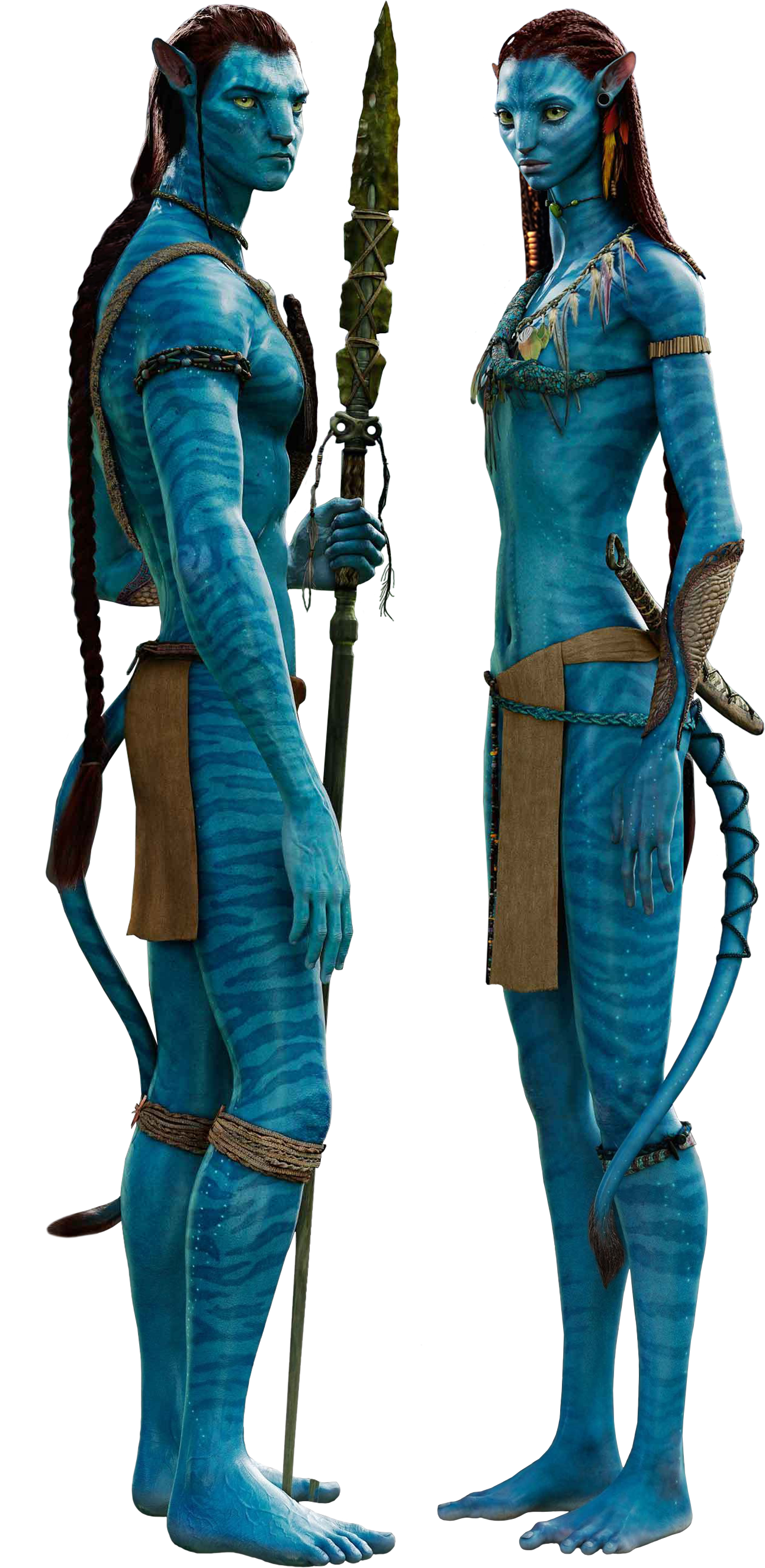 Avatar PNG Image