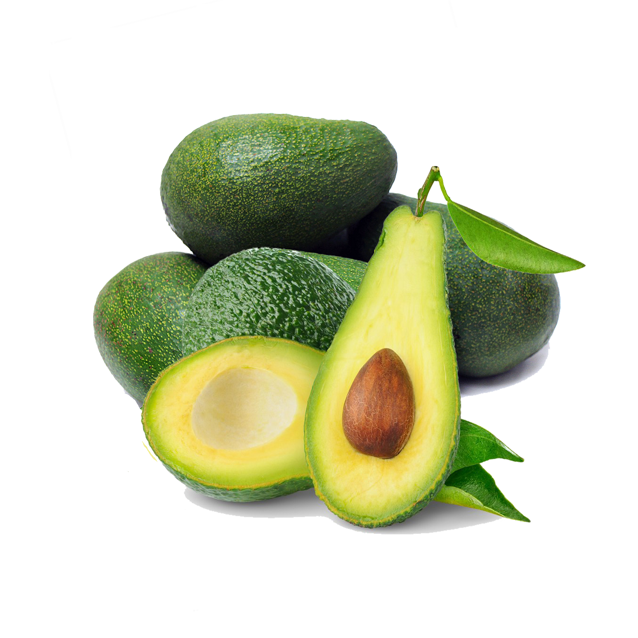 Avocado PNG Image for Free Download