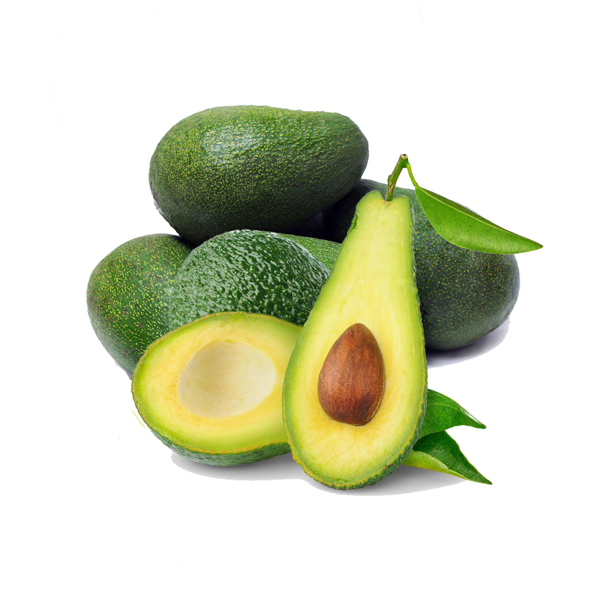 Download Avocado PNG Image For Free