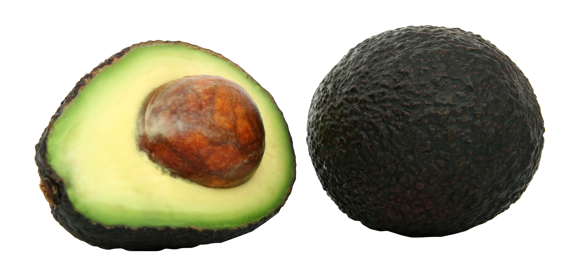 Avocado PNG Image