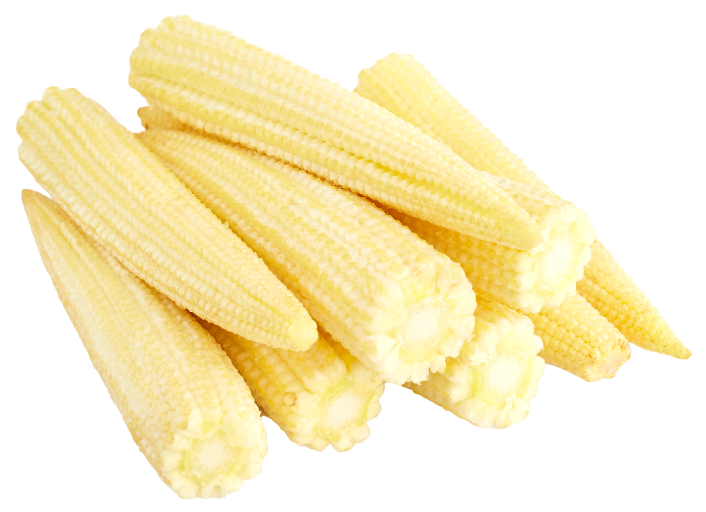 Baby Corn Cobs PNG Image
