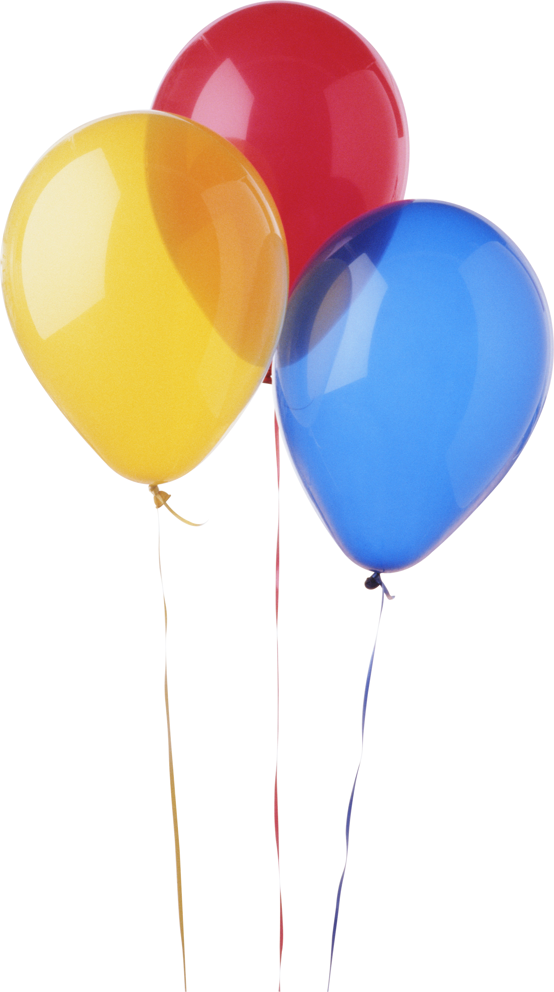 Celebration Balloons PNG Image