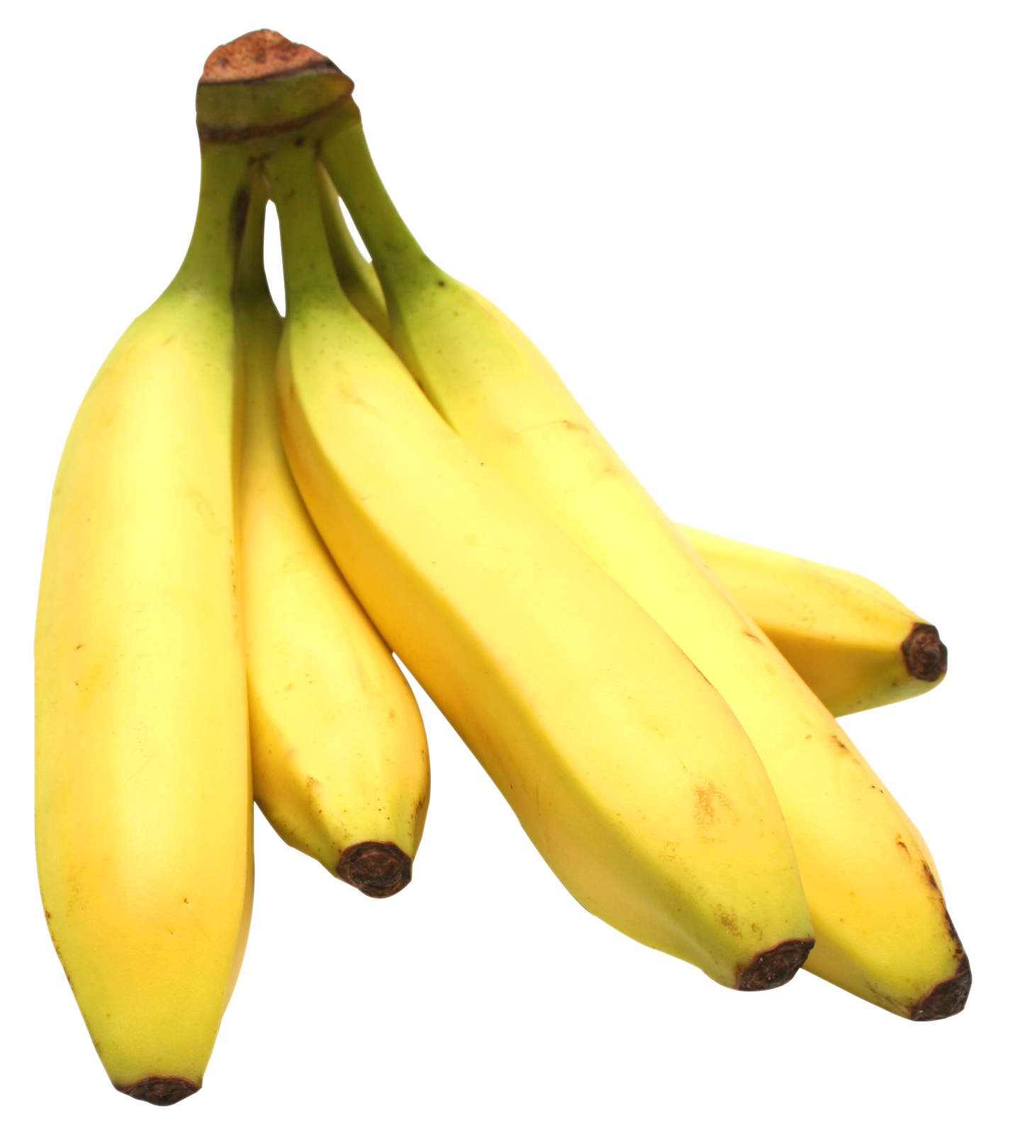 Blue Bananas Png Image Purepng Free Transparent Cc Png Image Library Images And Photos Finder