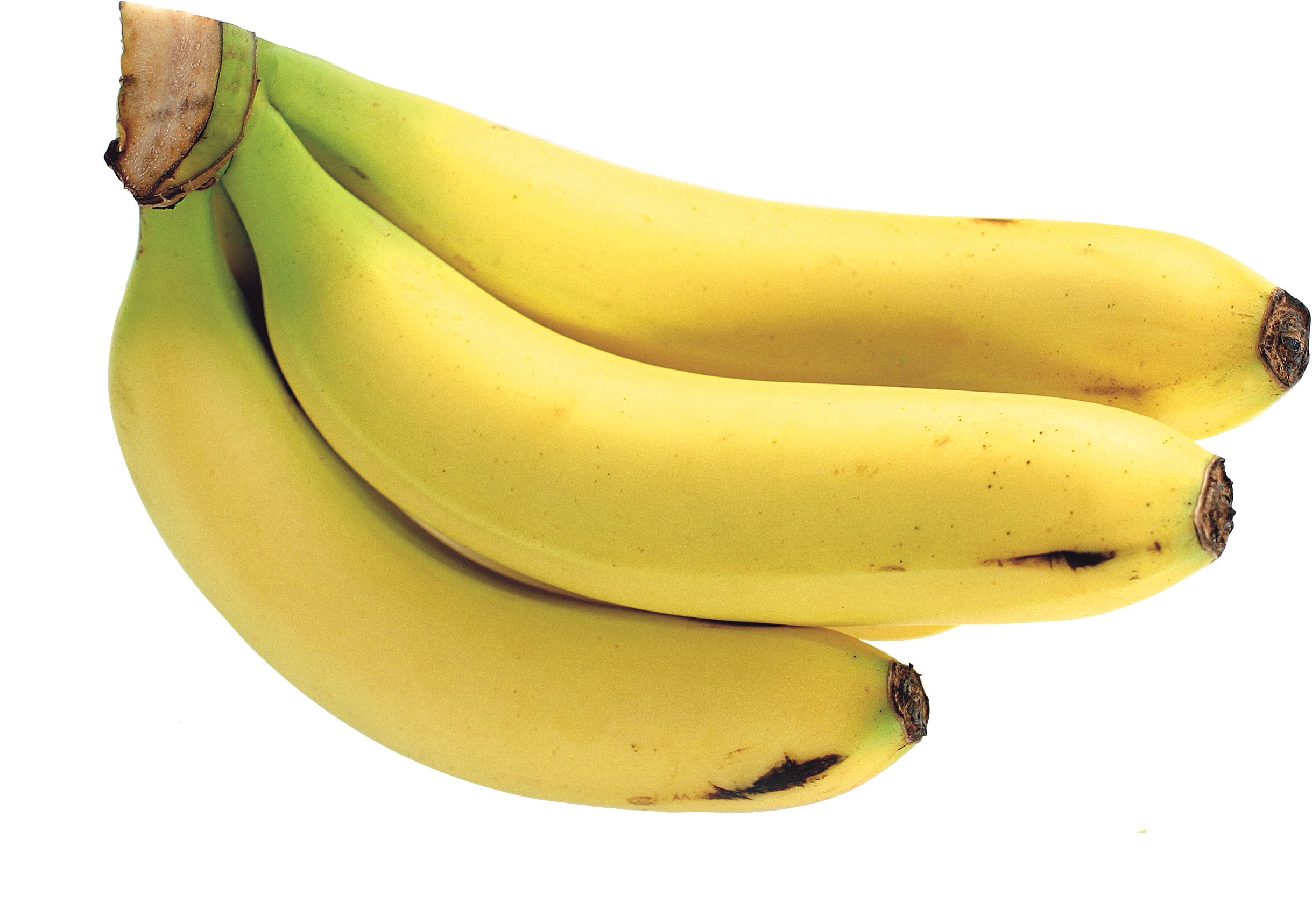 Banana's PNG Image - PurePNG  Free transparent CC0 PNG Image Library