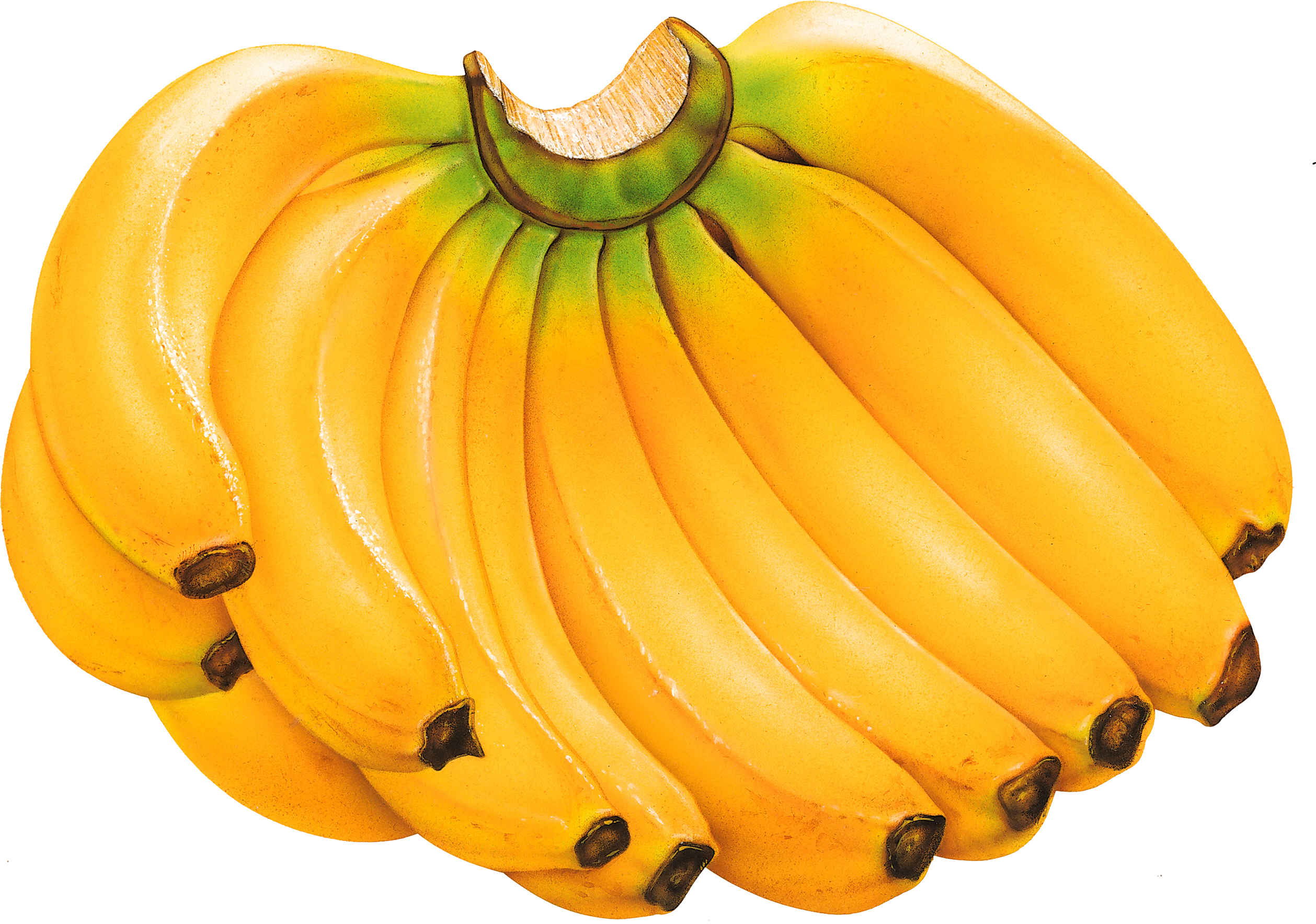 Banana's PNG Image