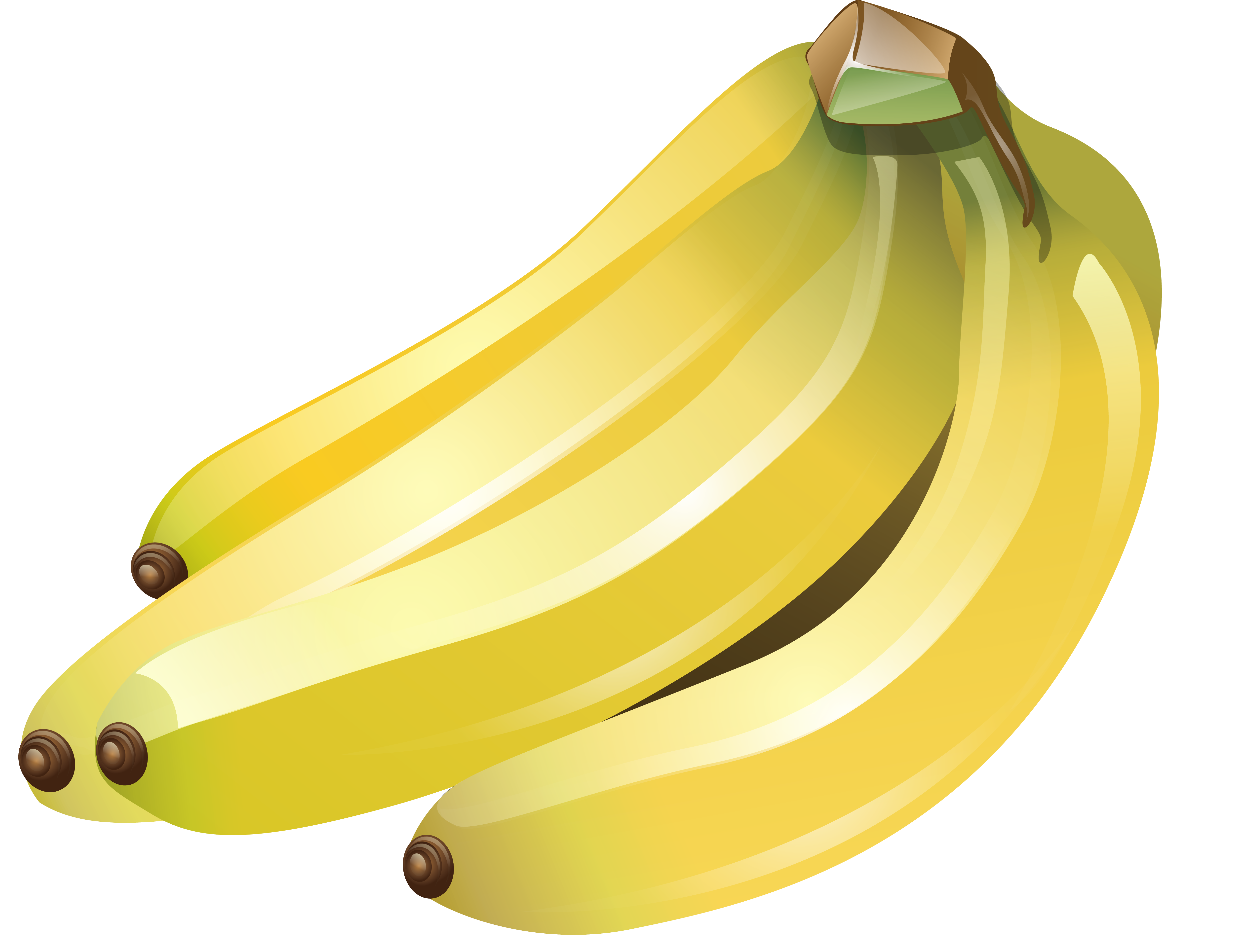 Banana's PNG Image for Free Download