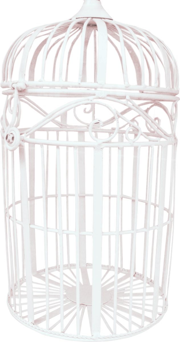 Bird Cage PNG Image