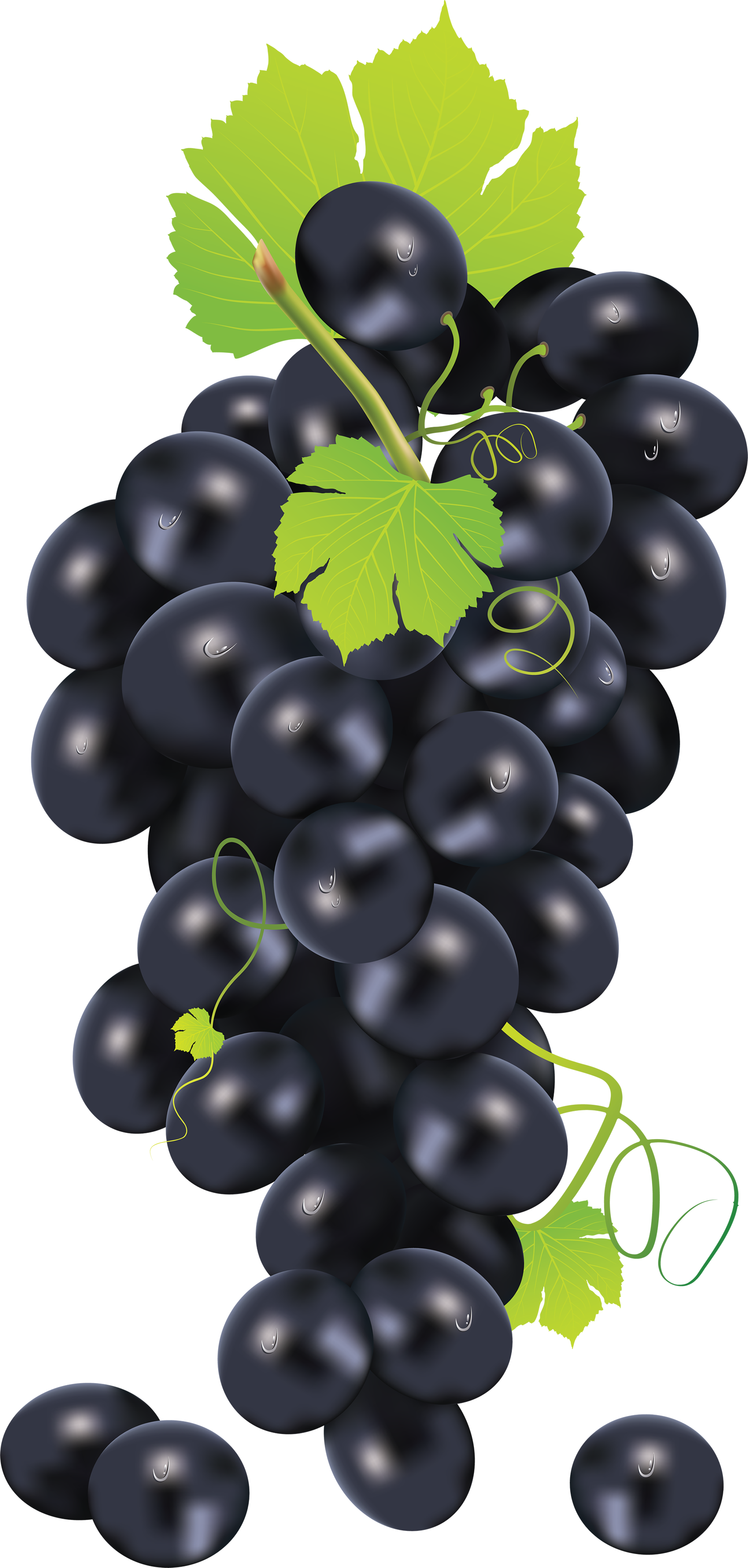Black Grapes PNG Image