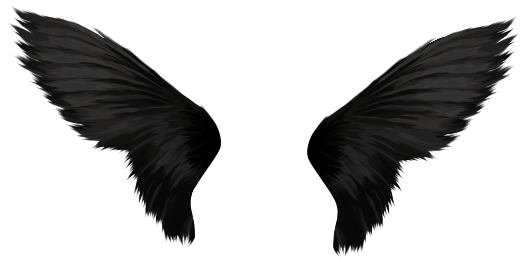 Black Wings Transparent PNG Image