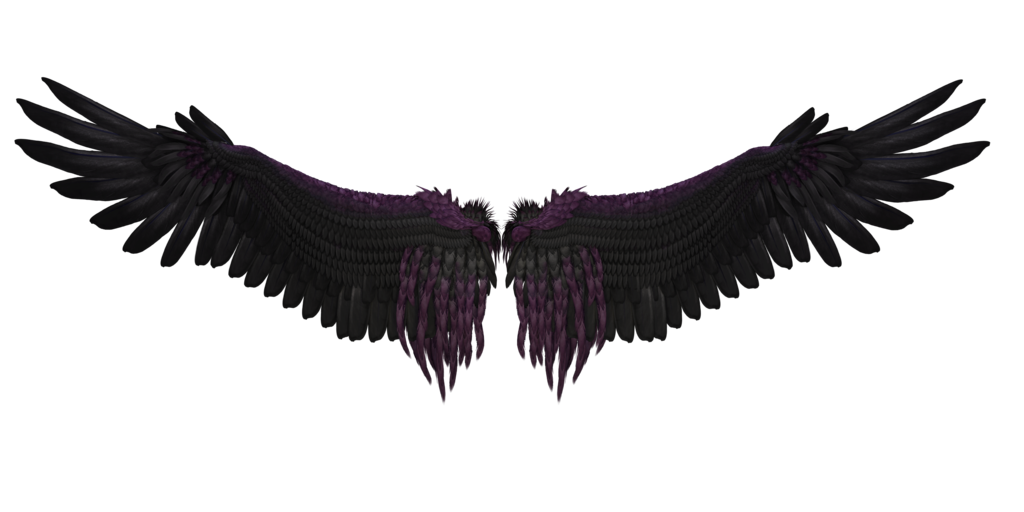 Black Wings PNG Image