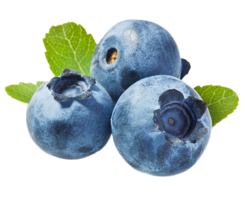 Blueberries PNG Image