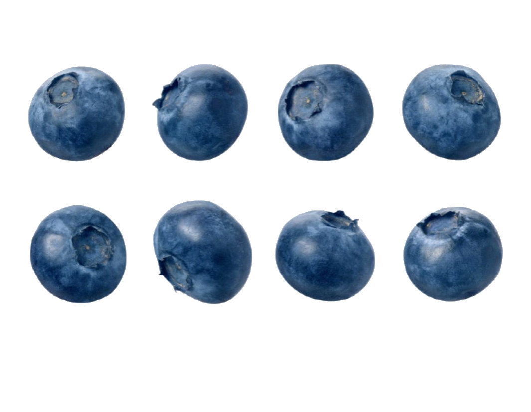 Blueberrys Variations PNG Image