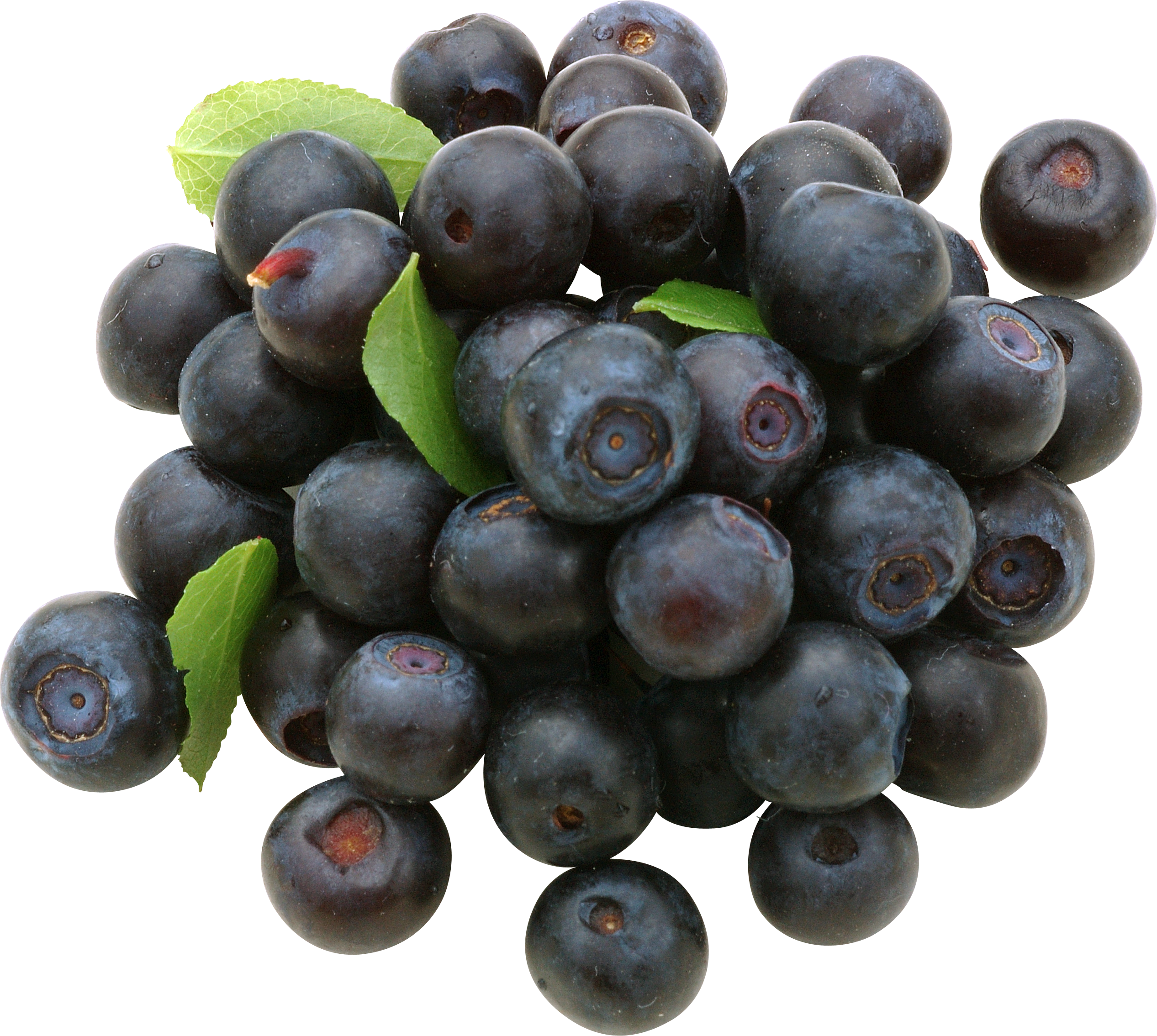 Blueberrys PNG Image