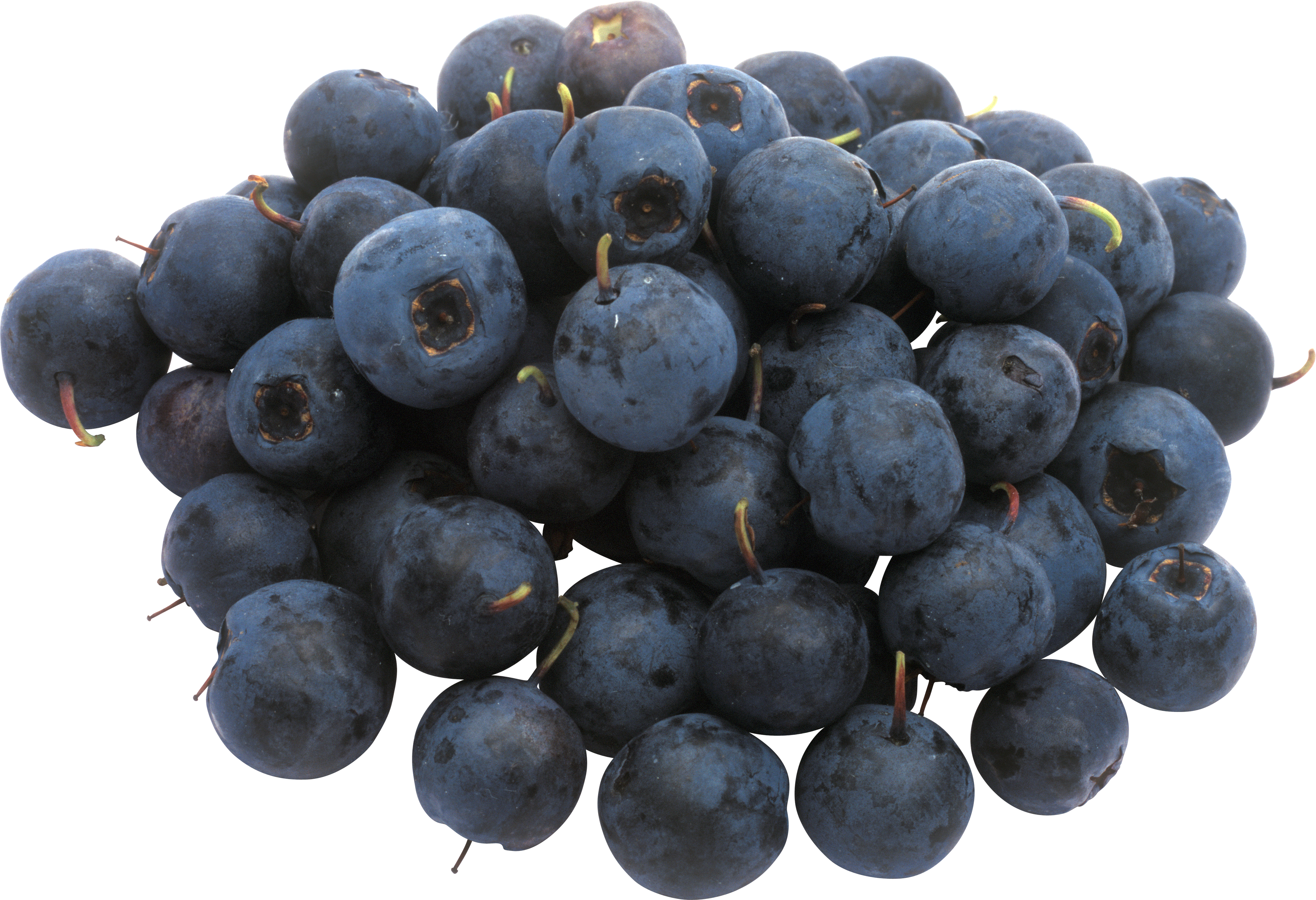 Blueberrys PNG Image
