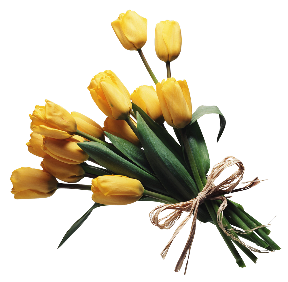 Bouquet Of Flowers PNG Image - PurePNG | Free transparent CC0 PNG Image ...