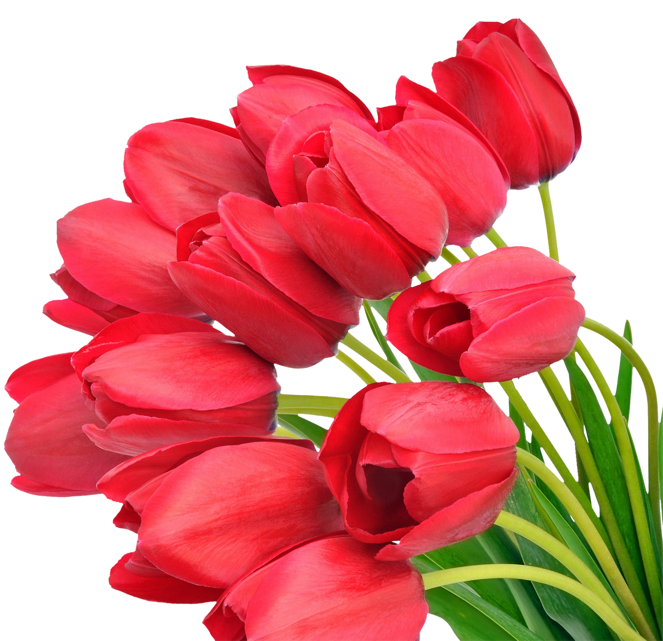 Bouquet Of Flowers PNG Image