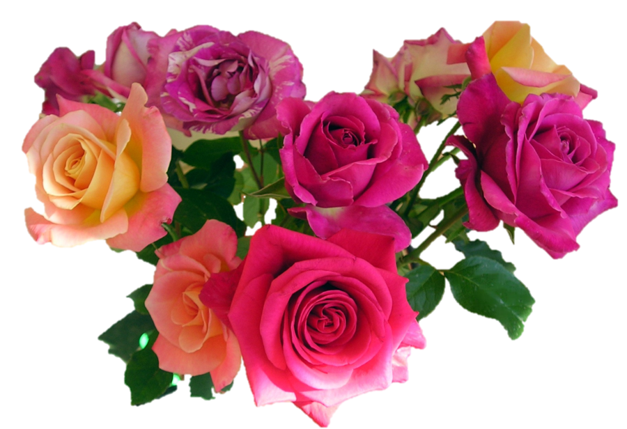 Download Bouquet Of Flowers PNG Image for Free