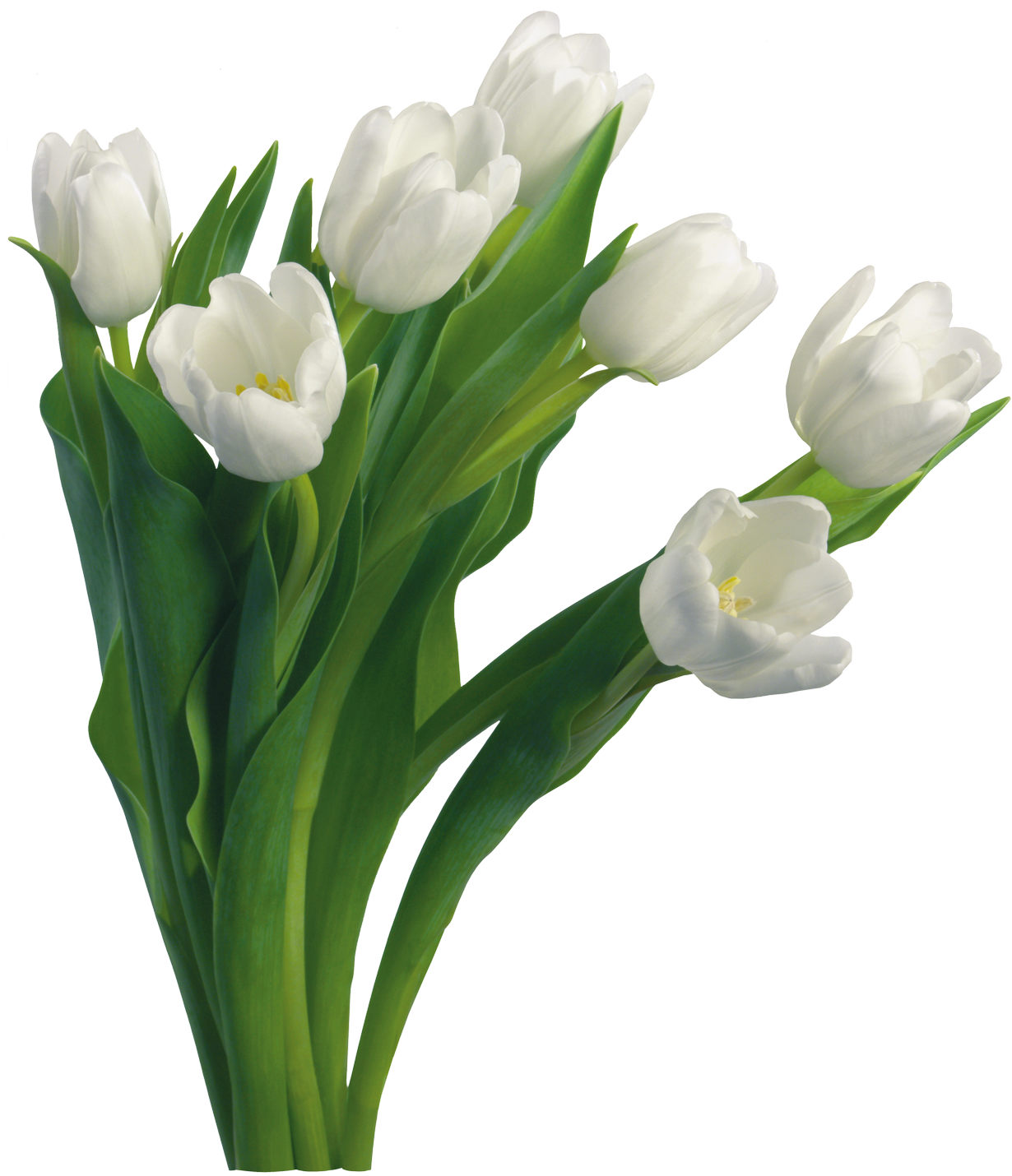 Bouquet Of Flowers PNG Image