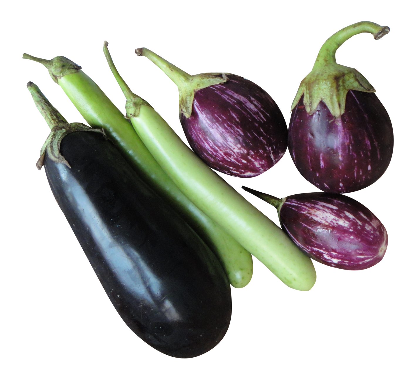 Brinjal Eggplant PNG Image