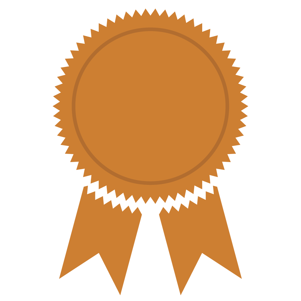 Bronze Medal PNG Image