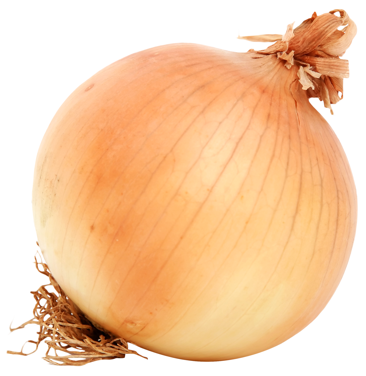 Brown Onion PNG Image