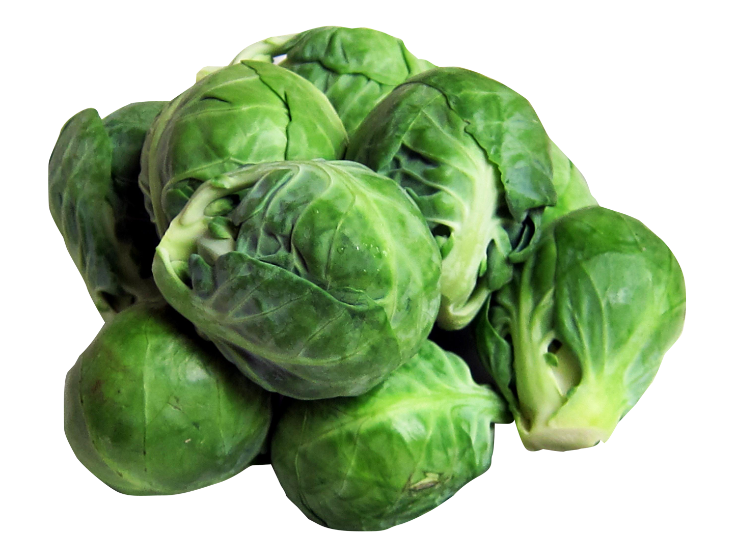 Brussel sprouts clipart