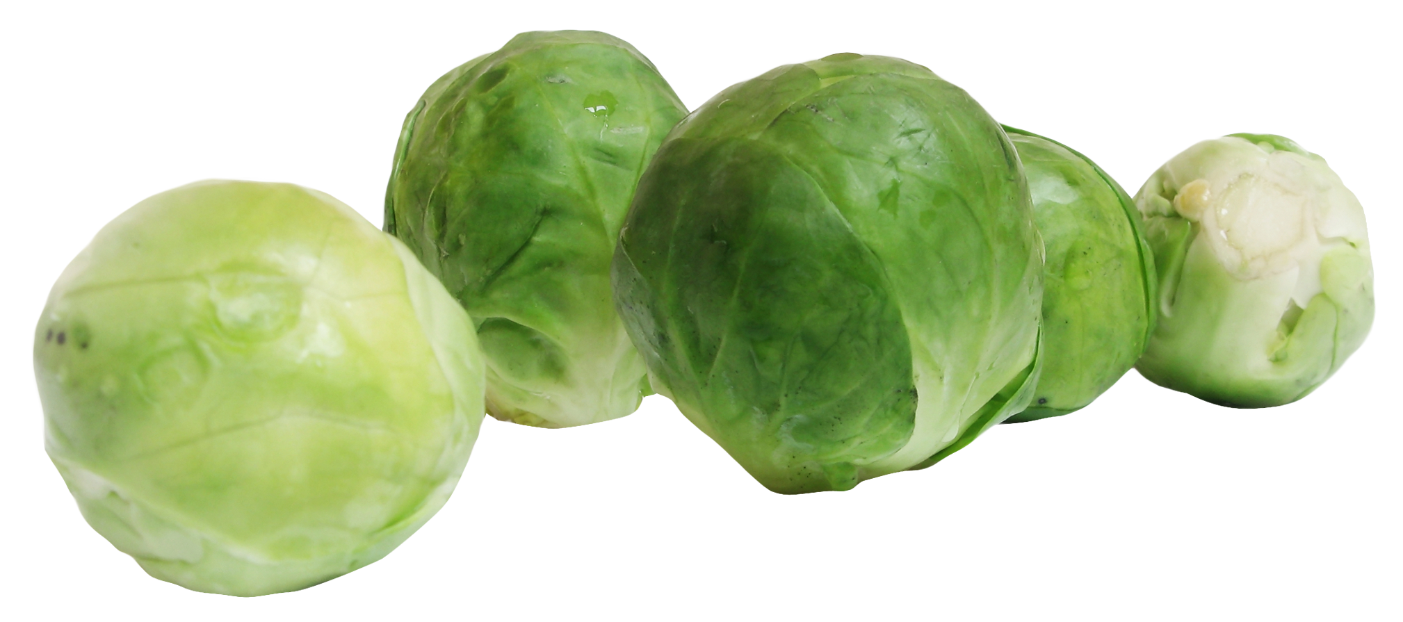 Brussels Sprouts PNG Image
