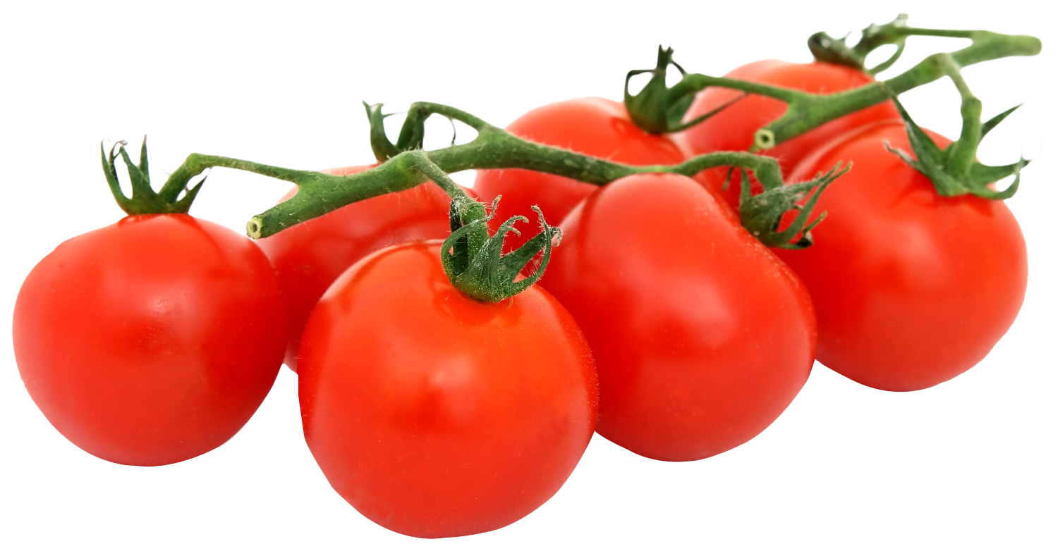 Bunch of Fresh Tomatoes PNG Image