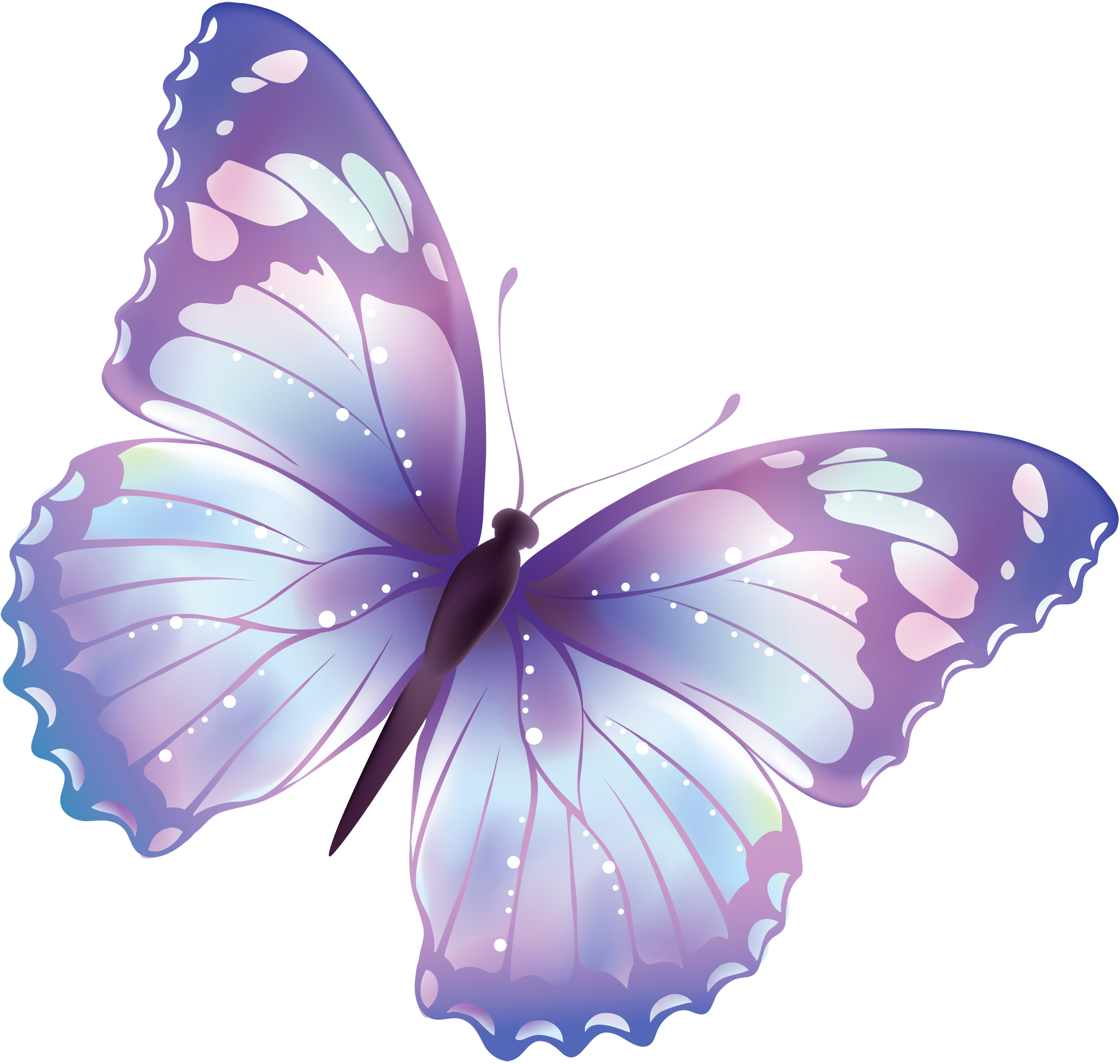 Butterfly PNG Image - PurePNG | Free transparent CC0 PNG Image Library