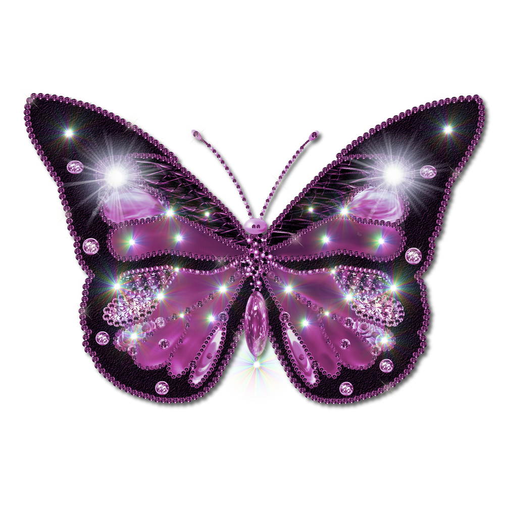 Download Butterfly Png Image For Free