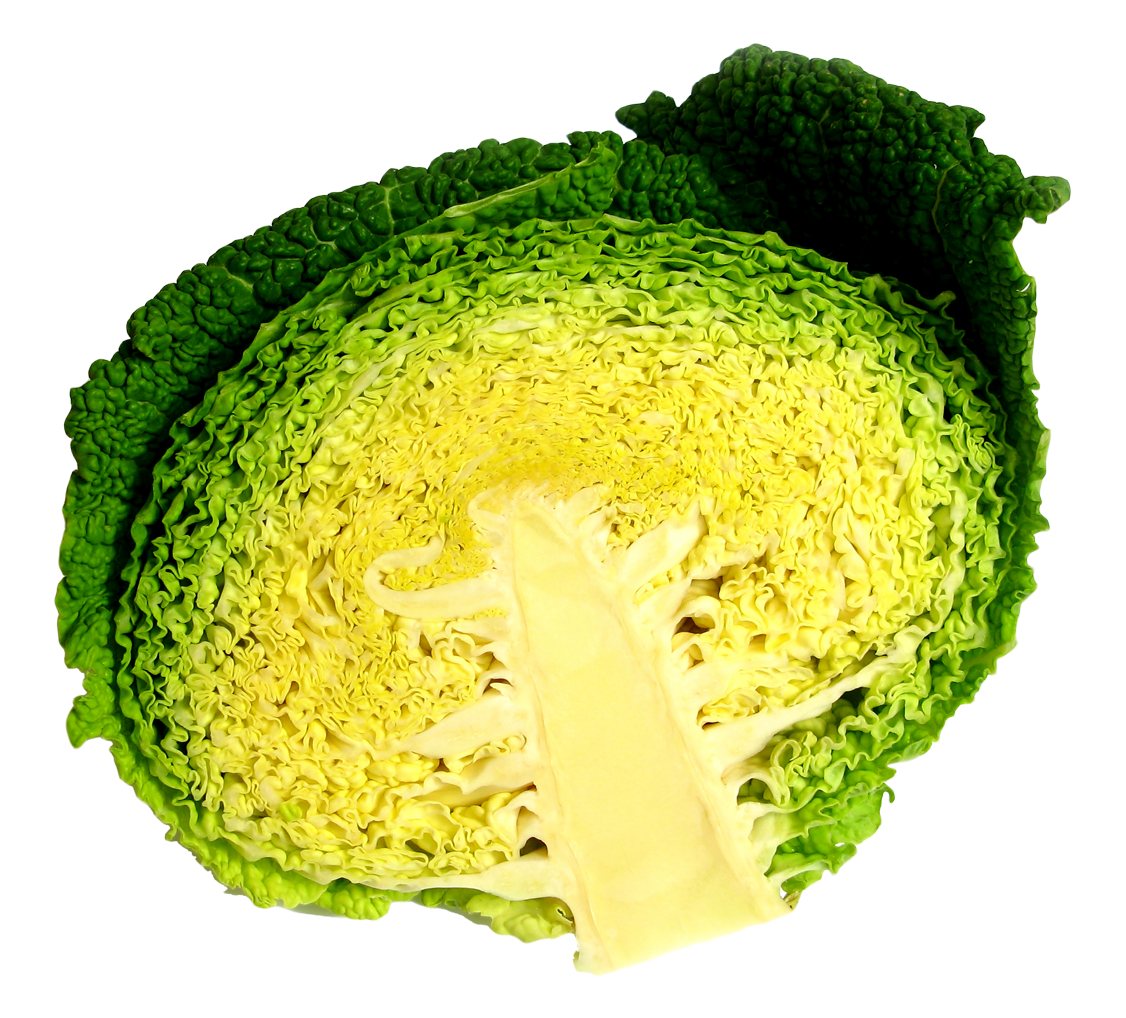 Cabbage Half PNG Image