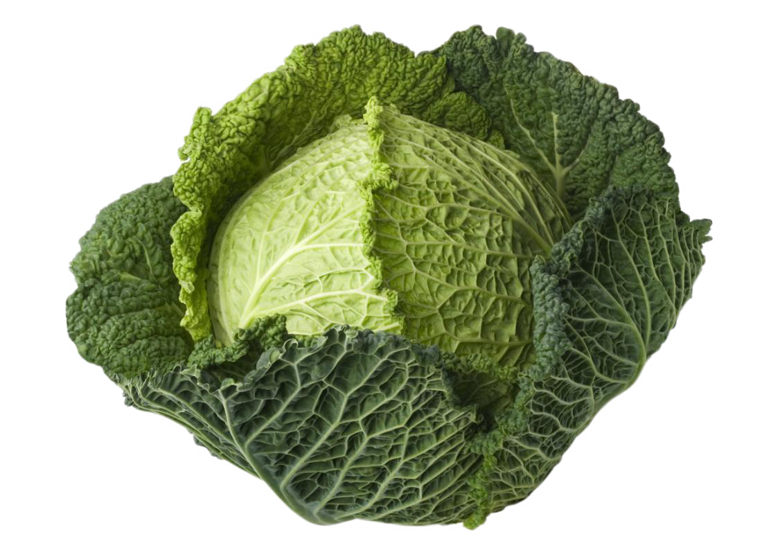 Cabbage PNG Image