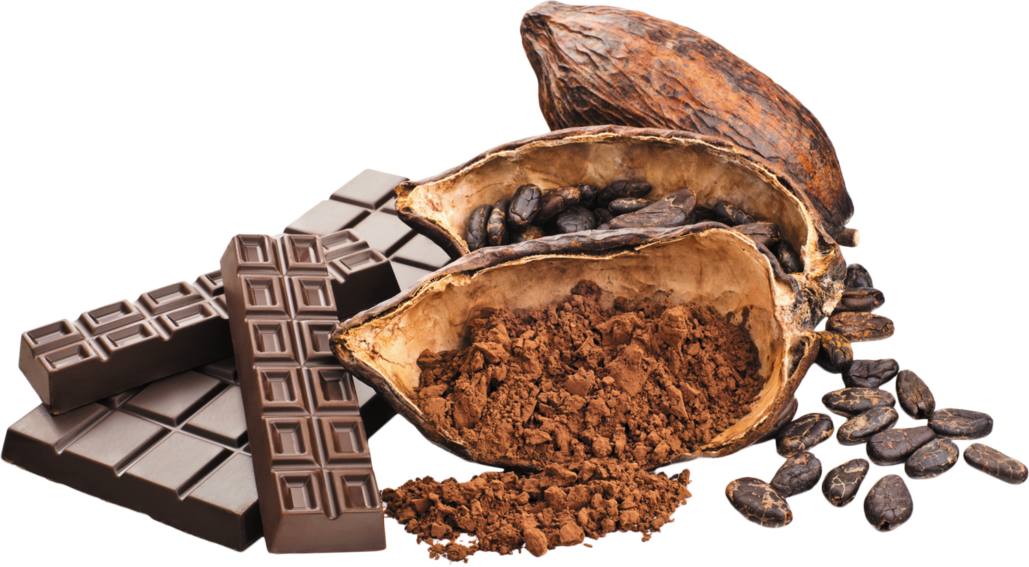 Cocoa And Chocolate At Cecil Powell Blog