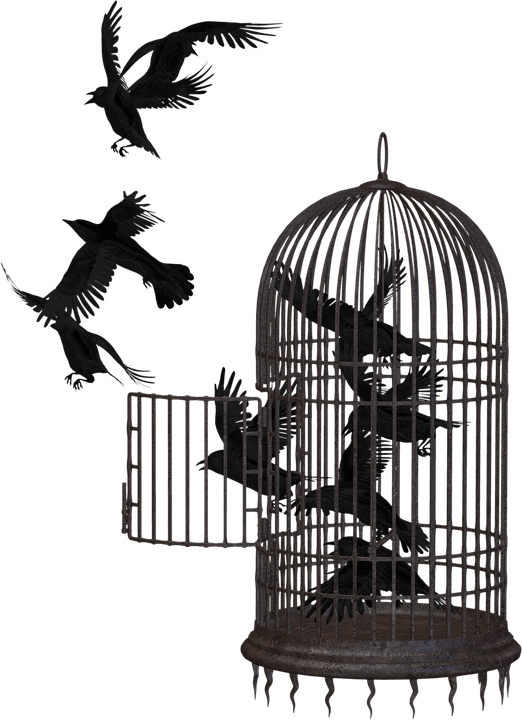 Cage Bird Crow PNG Image
