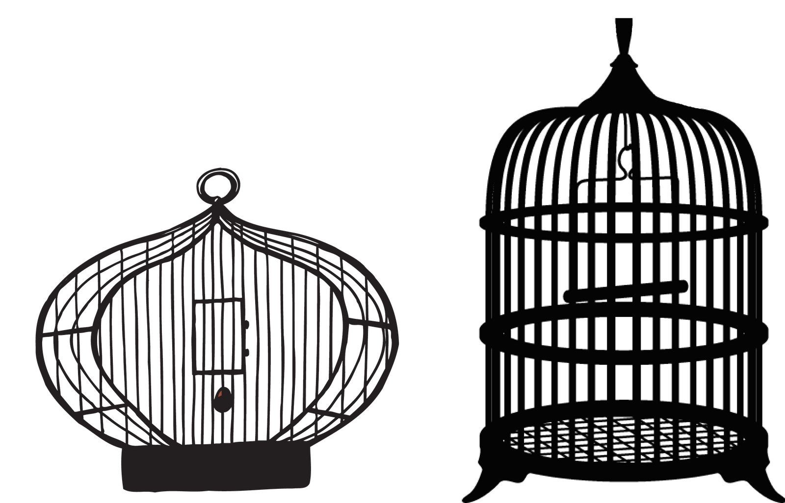 Cage bird PNG Image